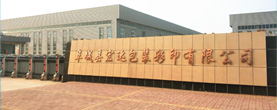 公司簡介